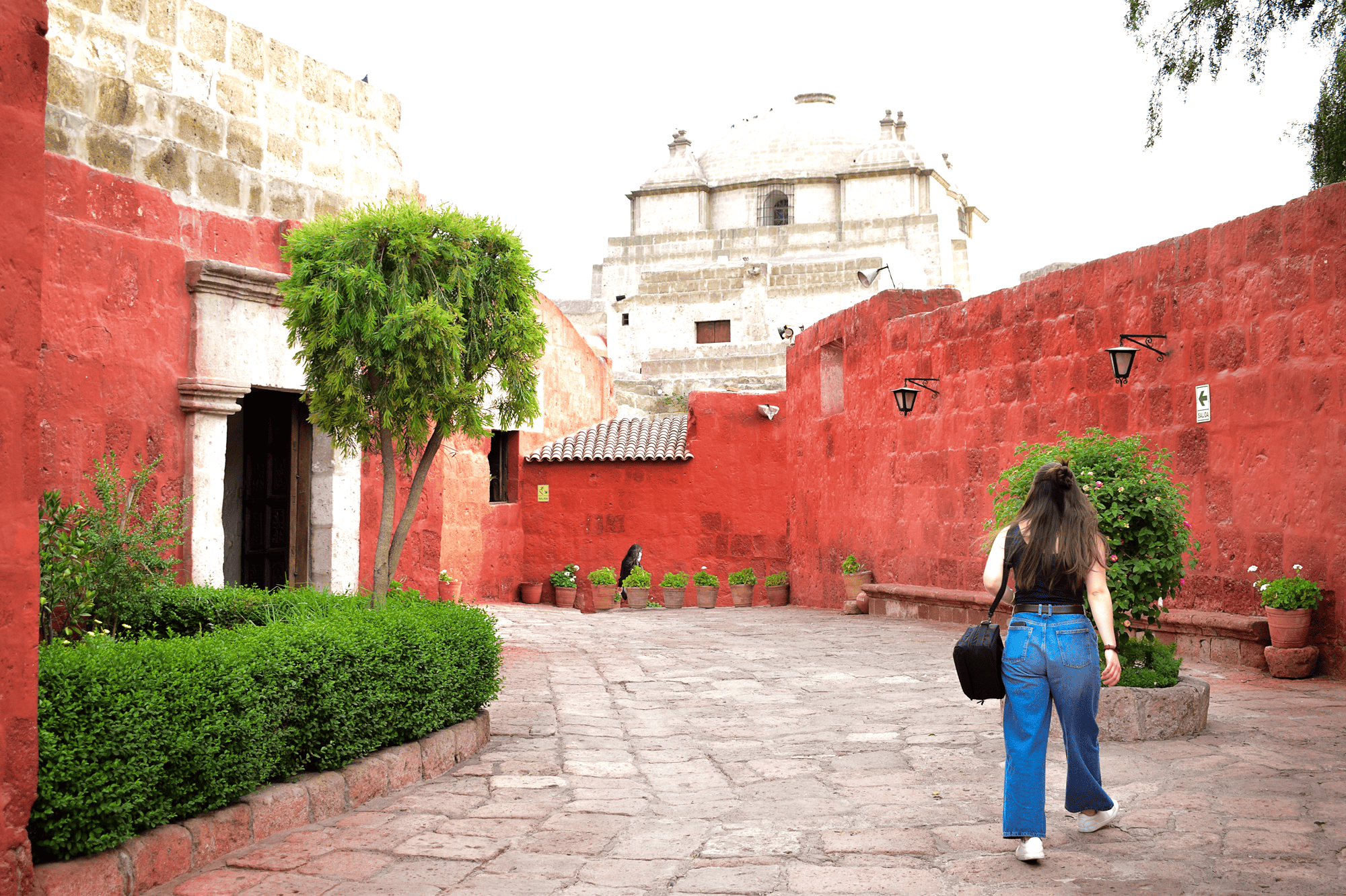 Girl traveler visiting Santa Catalina Monastery a city insde Arequipa city