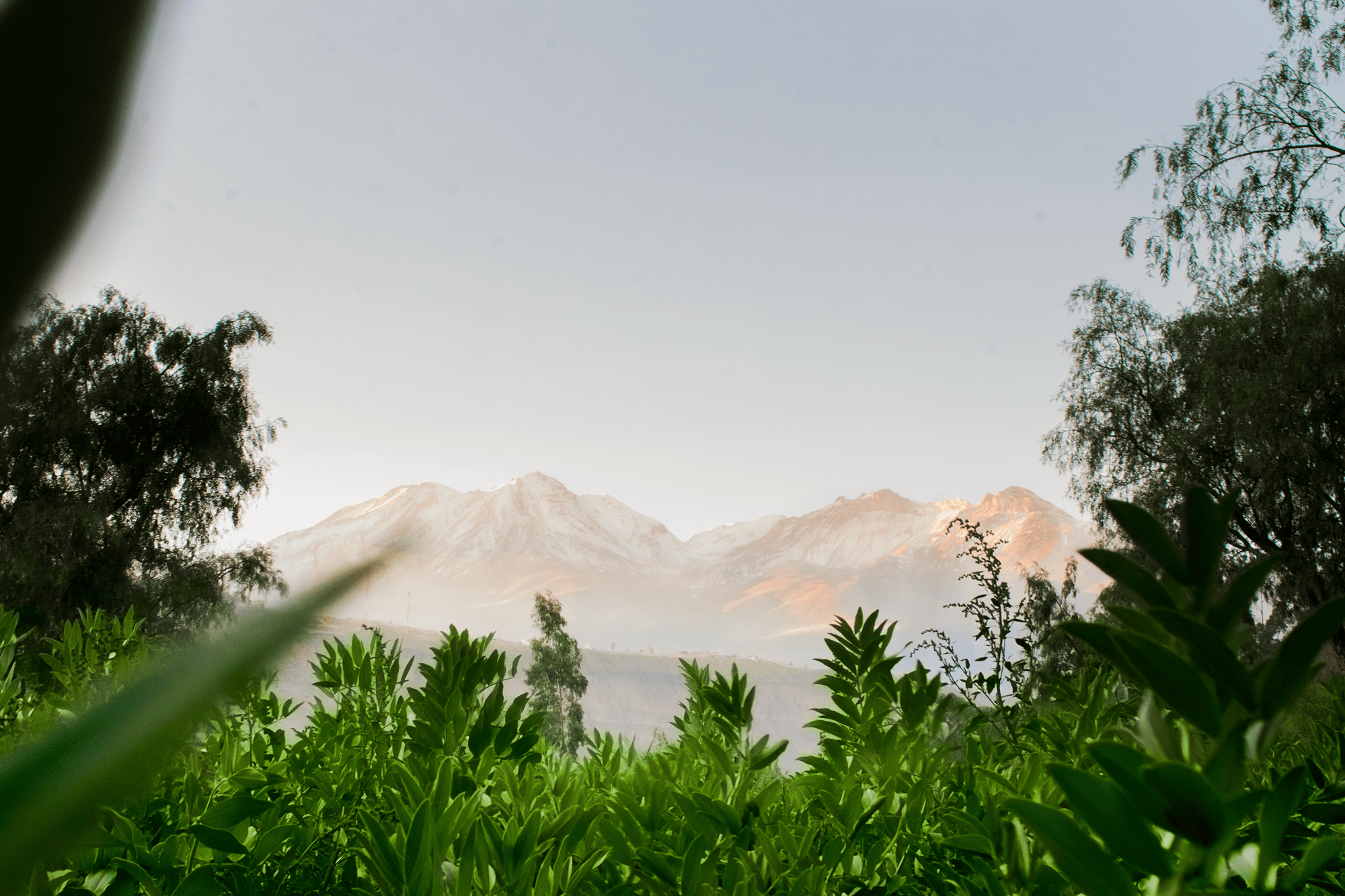 Chachani Volcano captured during golden hour from Chilina Valley Arequipa Peru
