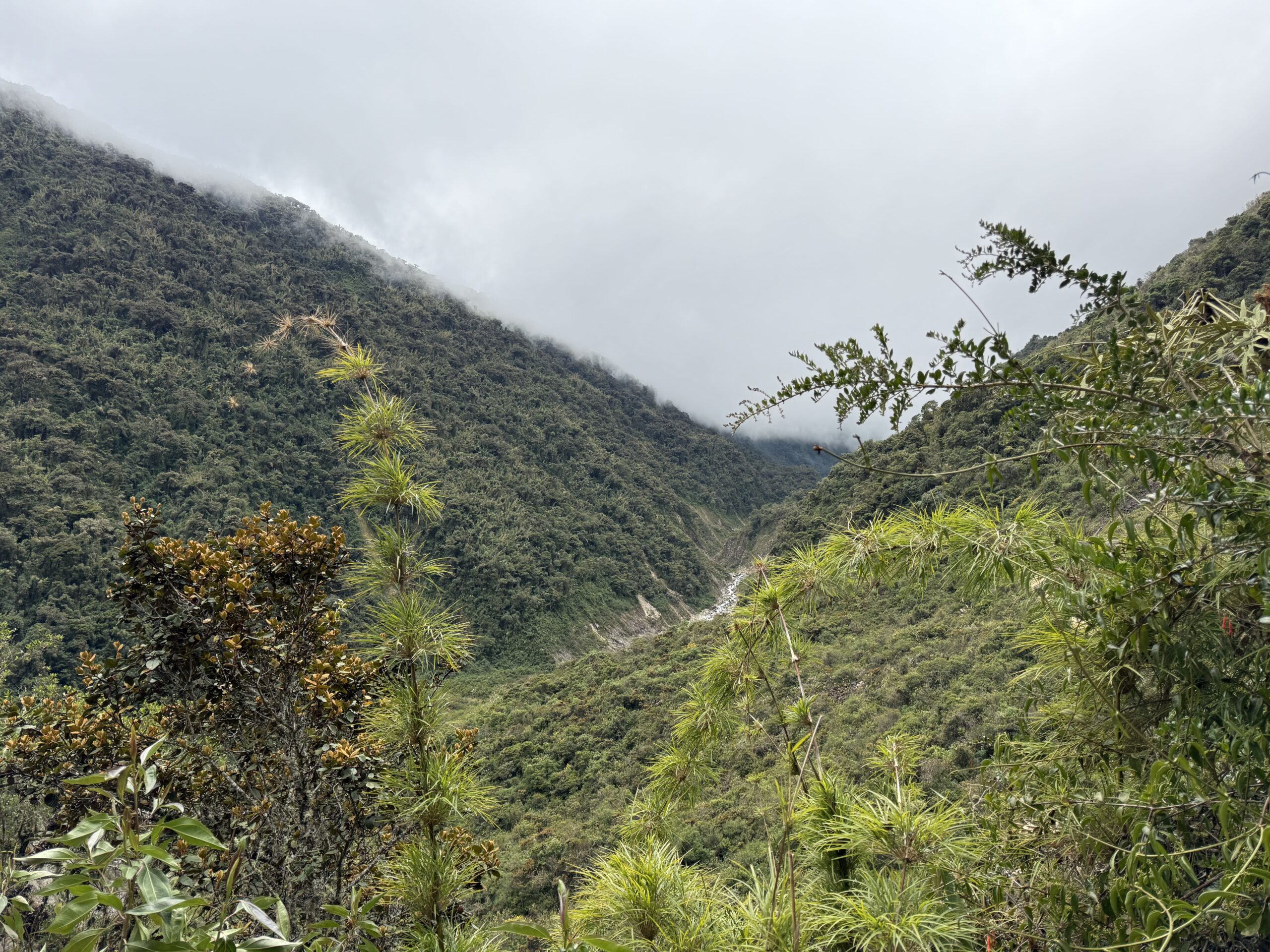 jungle mountains during Salkantay trekking during Rock climbing tour to Macchu Picchu with Alejandro Cornejo operate by sky viajes and Peru climb